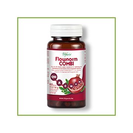 Flownorm COMBI  kapsule